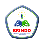 Brindo_Slider_Logo